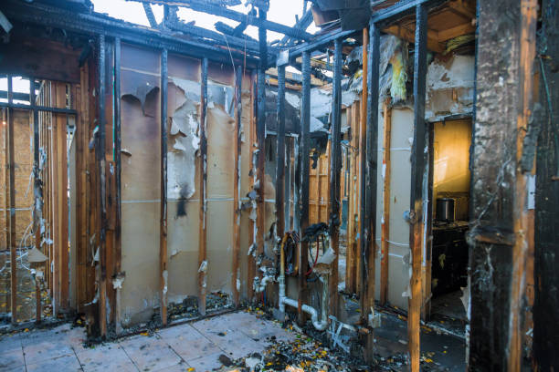 Professional Odor Removal technician working in Harrison, MI
